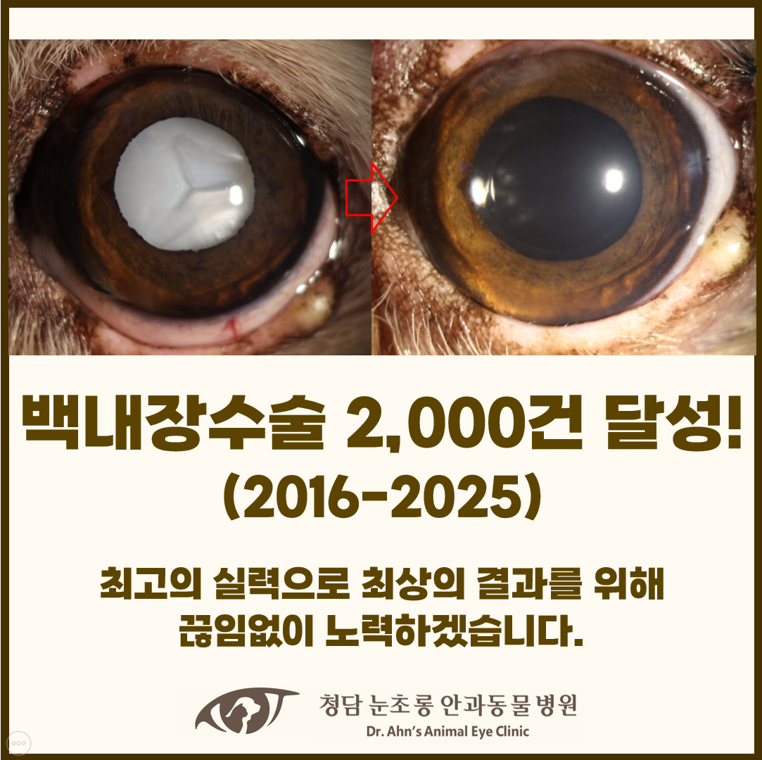 e4eb6c0546c9014d7900b4e84aa7ad97_1762180